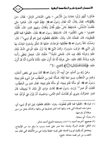 الأغصان الندية في شرح السيرة النبوية