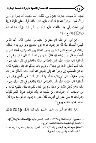 الأغصان الندية في شرح السيرة النبوية