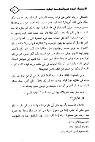 الأغصان الندية في شرح السيرة النبوية