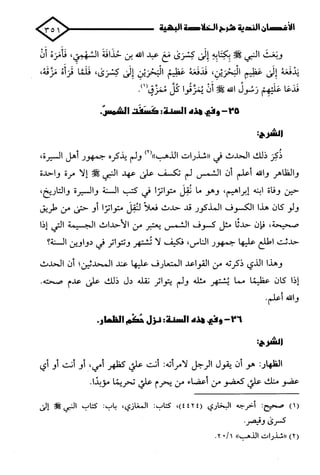 الأغصان الندية في شرح السيرة النبوية