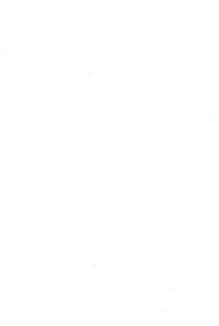 الأغصان الندية في شرح السيرة النبوية