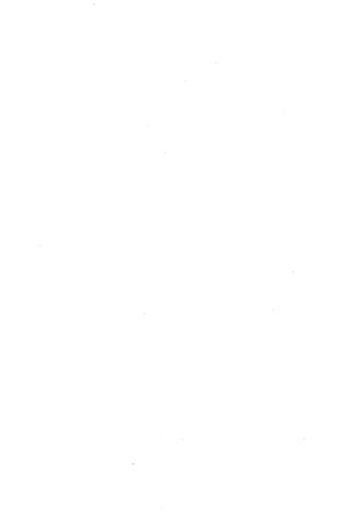 الأغصان الندية في شرح السيرة النبوية