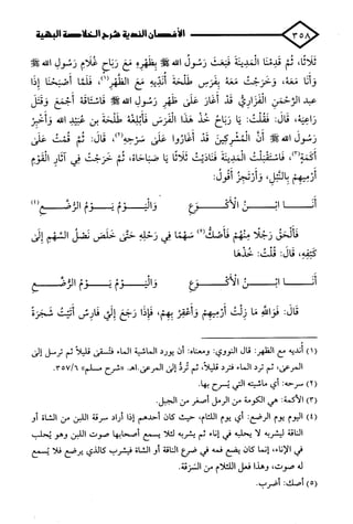 الأغصان الندية في شرح السيرة النبوية