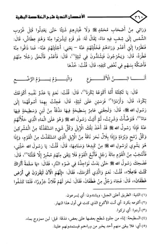 الأغصان الندية في شرح السيرة النبوية