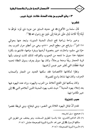 الأغصان الندية في شرح السيرة النبوية