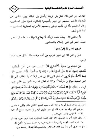 الأغصان الندية في شرح السيرة النبوية