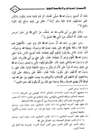 الأغصان الندية في شرح السيرة النبوية