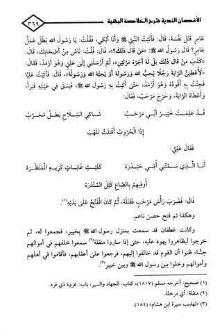 الأغصان الندية في شرح السيرة النبوية