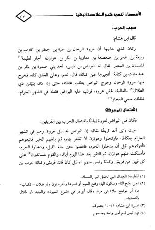 الأغصان الندية في شرح السيرة النبوية