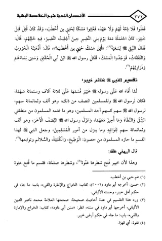 الأغصان الندية في شرح السيرة النبوية