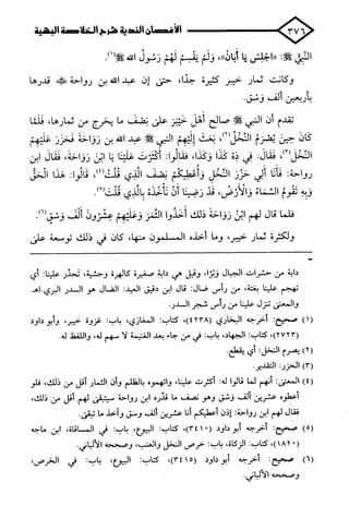 الأغصان الندية في شرح السيرة النبوية