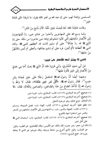 الأغصان الندية في شرح السيرة النبوية