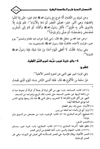 الأغصان الندية في شرح السيرة النبوية