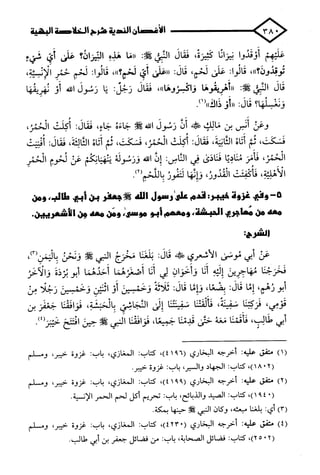 الأغصان الندية في شرح السيرة النبوية