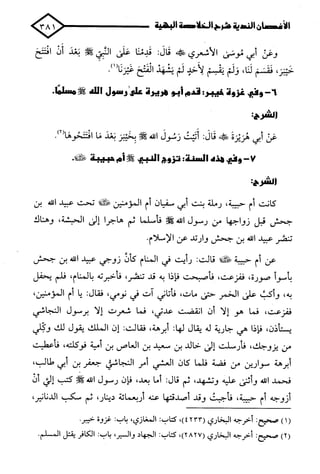 الأغصان الندية في شرح السيرة النبوية