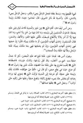 الأغصان الندية في شرح السيرة النبوية