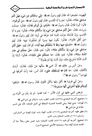 الأغصان الندية في شرح السيرة النبوية