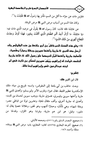 الأغصان الندية في شرح السيرة النبوية