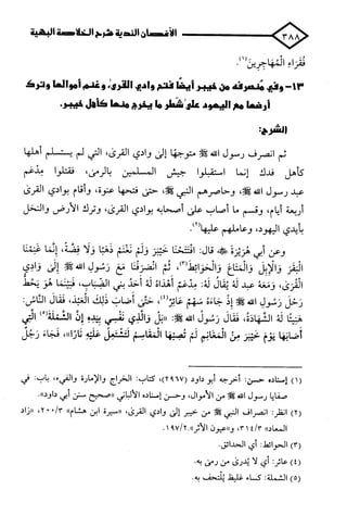 الأغصان الندية في شرح السيرة النبوية