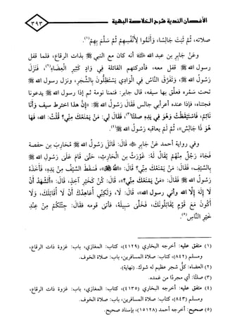 الأغصان الندية في شرح السيرة النبوية