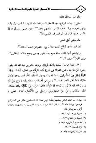 الأغصان الندية في شرح السيرة النبوية