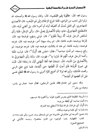 الأغصان الندية في شرح السيرة النبوية