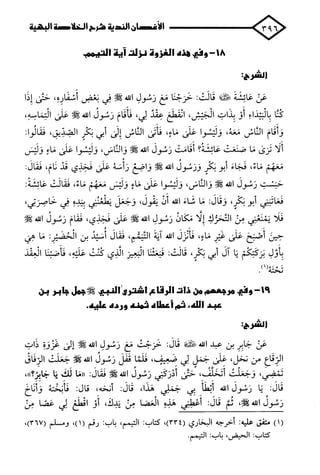 الأغصان الندية في شرح السيرة النبوية