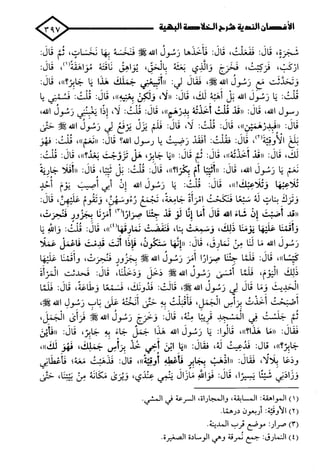 الأغصان الندية في شرح السيرة النبوية