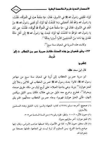 الأغصان الندية في شرح السيرة النبوية