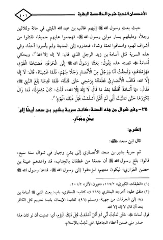 الأغصان الندية في شرح السيرة النبوية