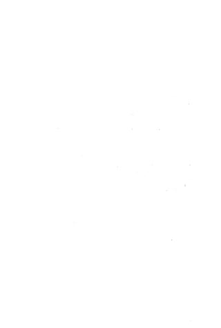 الأغصان الندية في شرح السيرة النبوية