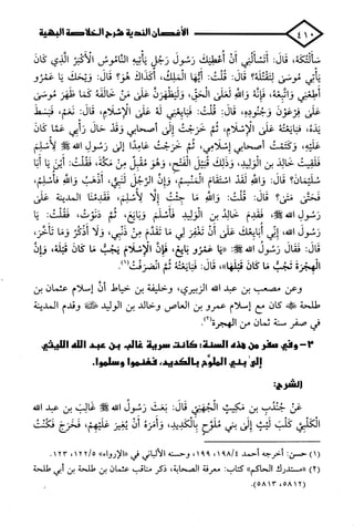 الأغصان الندية في شرح السيرة النبوية