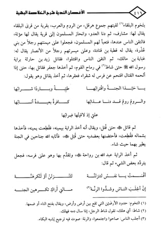 الأغصان الندية في شرح السيرة النبوية