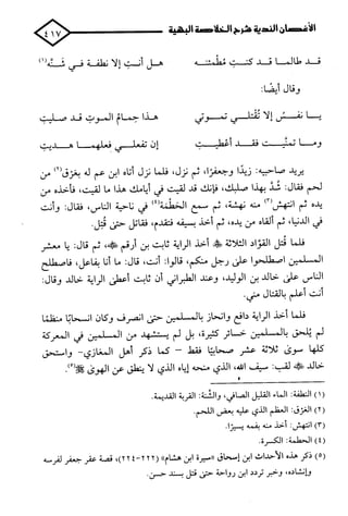 الأغصان الندية في شرح السيرة النبوية