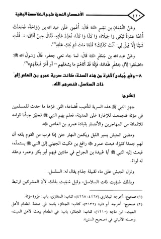 الأغصان الندية في شرح السيرة النبوية