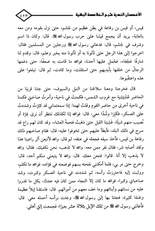 الأغصان الندية في شرح السيرة النبوية