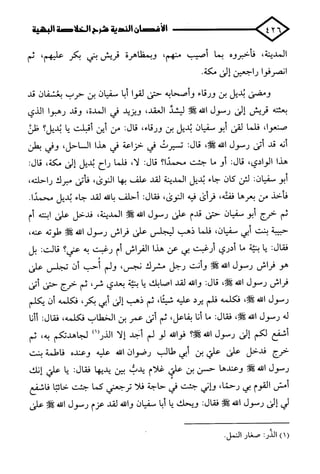 الأغصان الندية في شرح السيرة النبوية