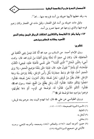 الأغصان الندية في شرح السيرة النبوية