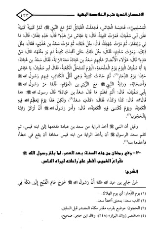 الأغصان الندية في شرح السيرة النبوية