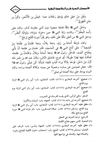 الأغصان الندية في شرح السيرة النبوية