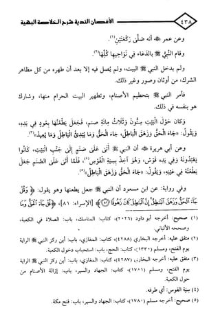 الأغصان الندية في شرح السيرة النبوية