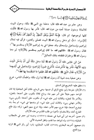 الأغصان الندية في شرح السيرة النبوية