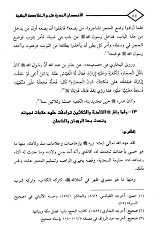 الأغصان الندية في شرح السيرة النبوية