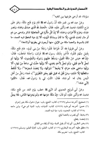 الأغصان الندية في شرح السيرة النبوية