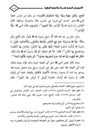 الأغصان الندية في شرح السيرة النبوية