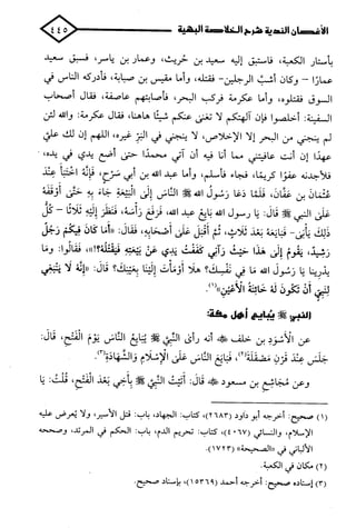 الأغصان الندية في شرح السيرة النبوية