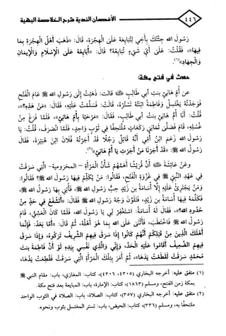 الأغصان الندية في شرح السيرة النبوية