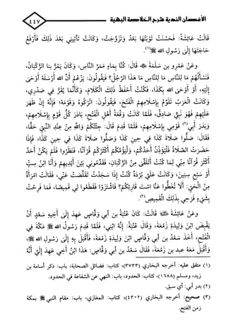 الأغصان الندية في شرح السيرة النبوية