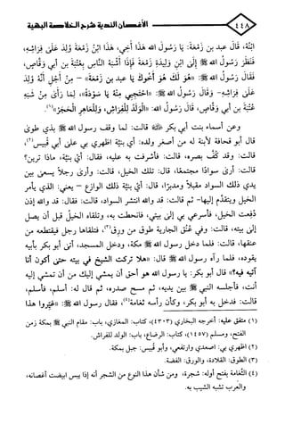 الأغصان الندية في شرح السيرة النبوية