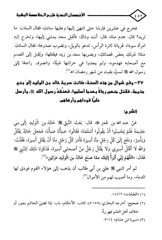 الأغصان الندية في شرح السيرة النبوية